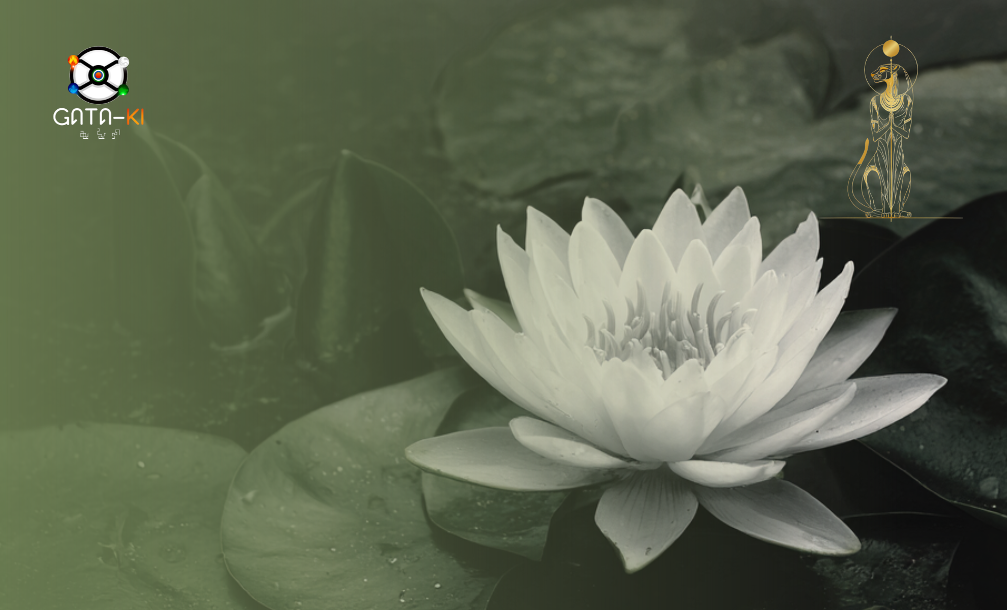 Rendez-vous conseil Gataki – Premier contact et orientation