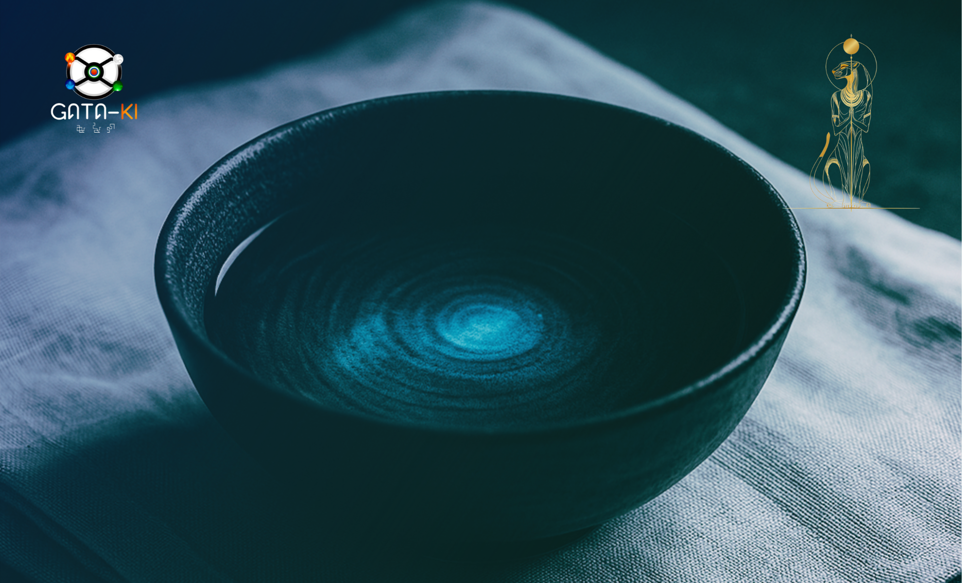 Rendez-vous conseil Gataki – Premier contact et orientation