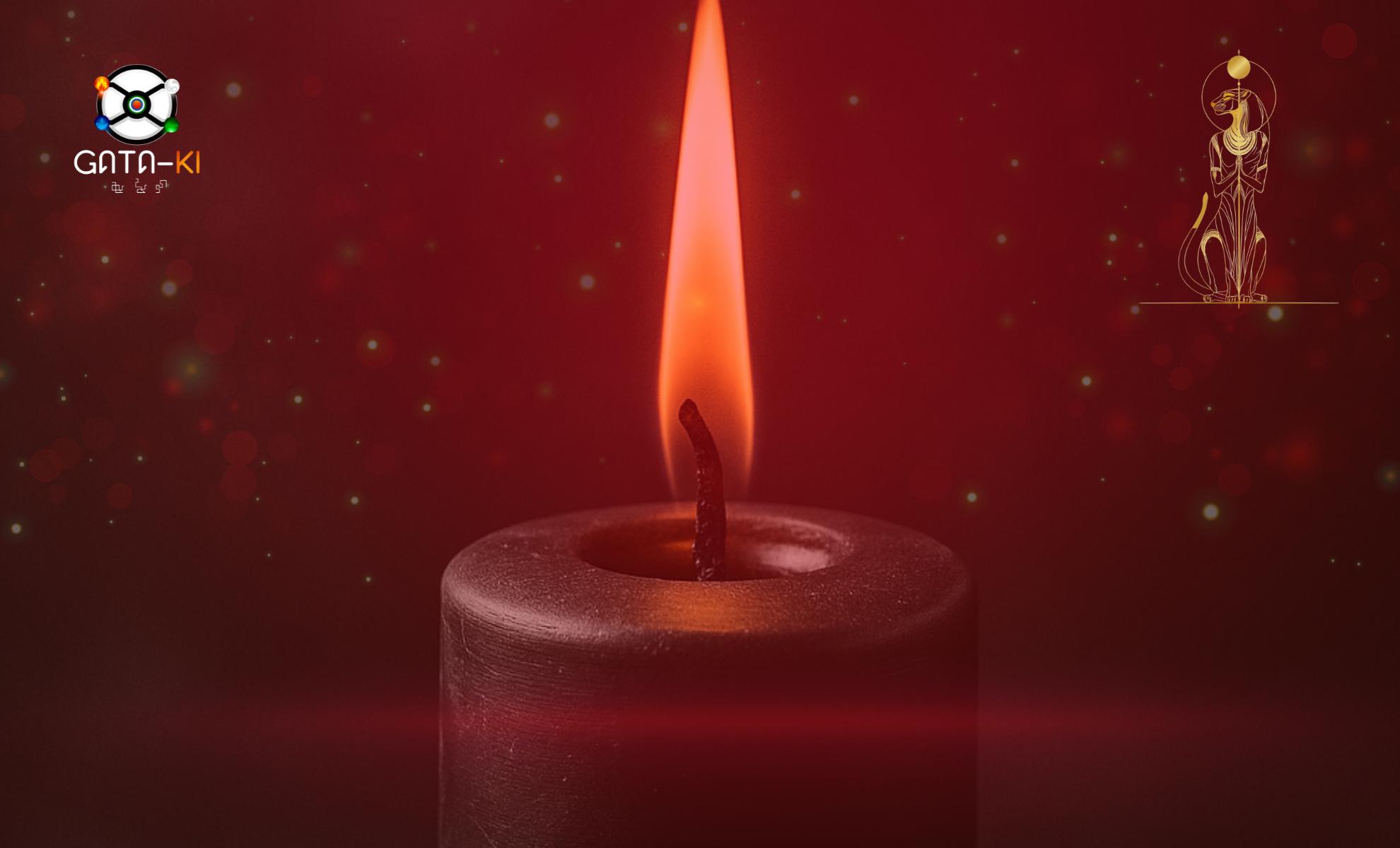 Rendez-vous conseil Gataki – Premier contact et orientation