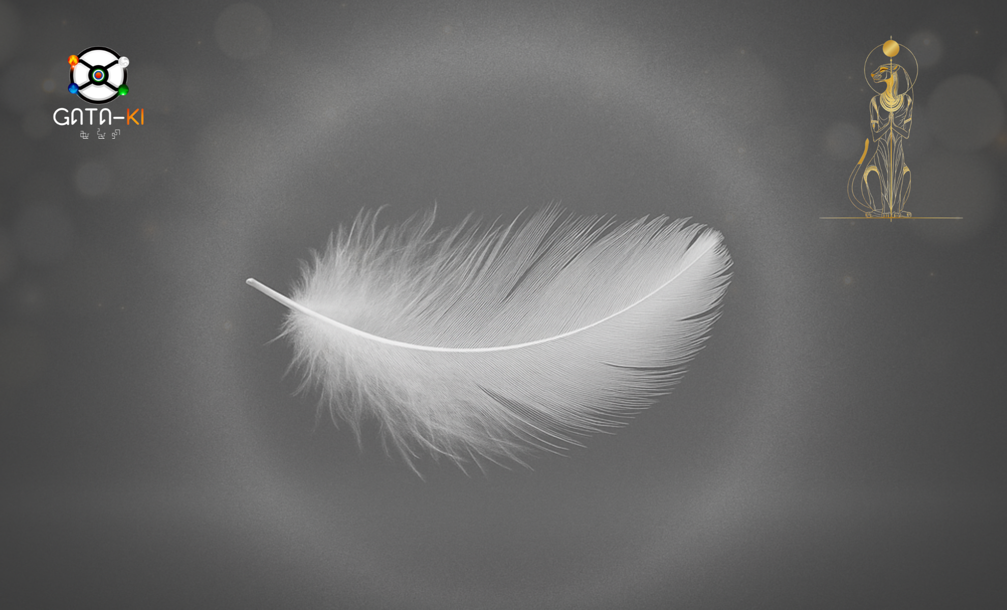 Rendez-vous conseil Gataki – Premier contact et orientation